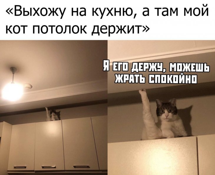 13464585.jpg