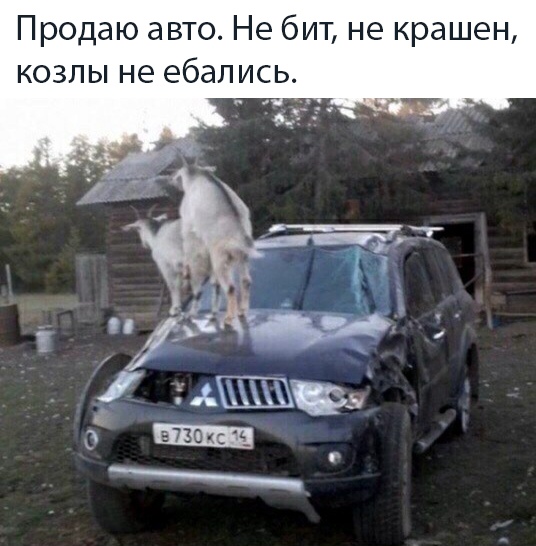 Немного картинок с надписями и без - 30