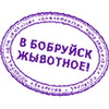 Это вам не инстаграмм (ноябрь)