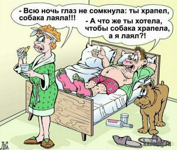 Карикатуры для поднятия настроения