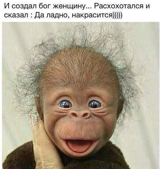 Бредзона 17.07.2020