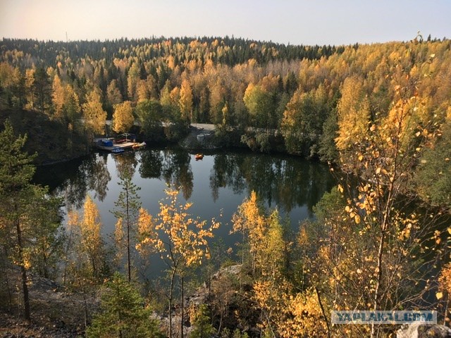 В Петербурге от коронавируса скончался создатель парка «Рускеала»