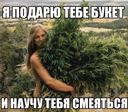 Опля, конопля!