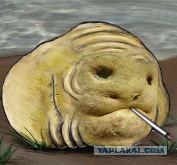 Фотожаба: И все таки они точно среди нас