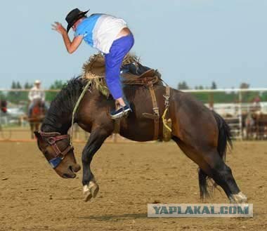Фотожаба: ...как будто он не пьяный