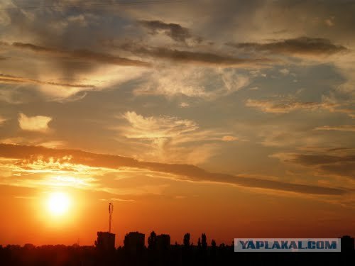 Один, красиво снятый, день Киева.