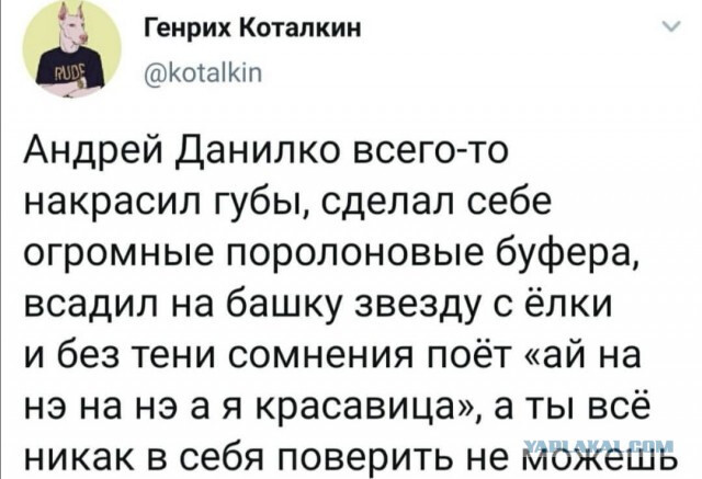 Фотки и картинки: юморные и красивые, забавные и милые 12.04.21