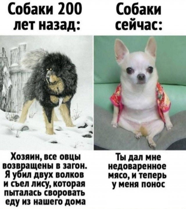Четверг, а значит пора начинать деградировать...