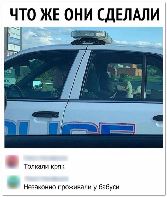 Забавные комментарии из социальных сетей (09.10.23)