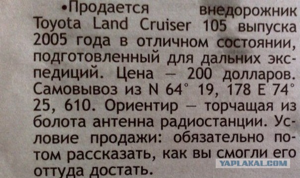 Котяра или На одну мечту меньше