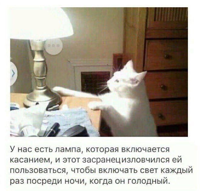Завалялось тут случайно немного забавных картинок