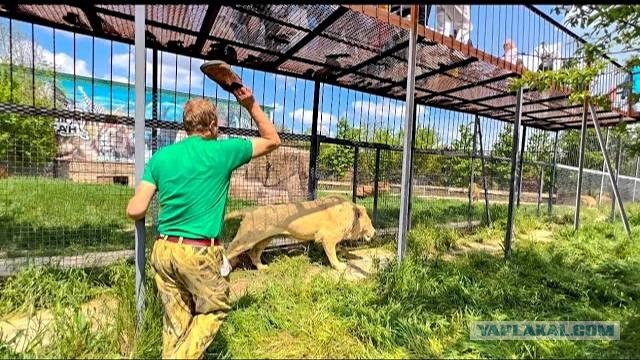 Так себе картинки 16.07.25