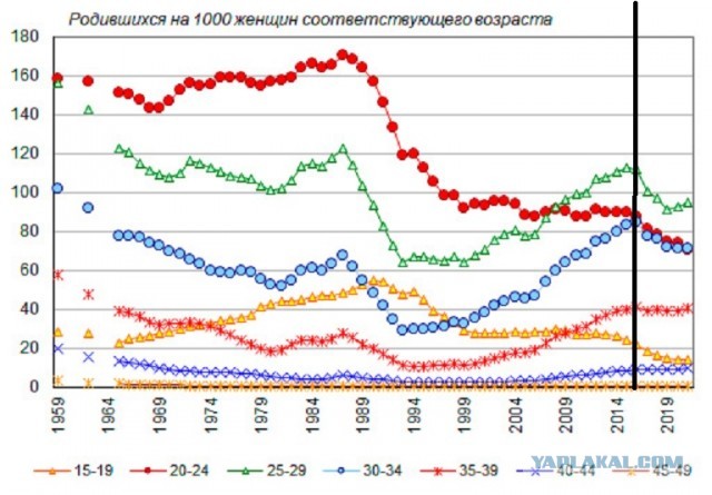 "На 150 тысяч детей завести нельзя": дамочка из параллельной России