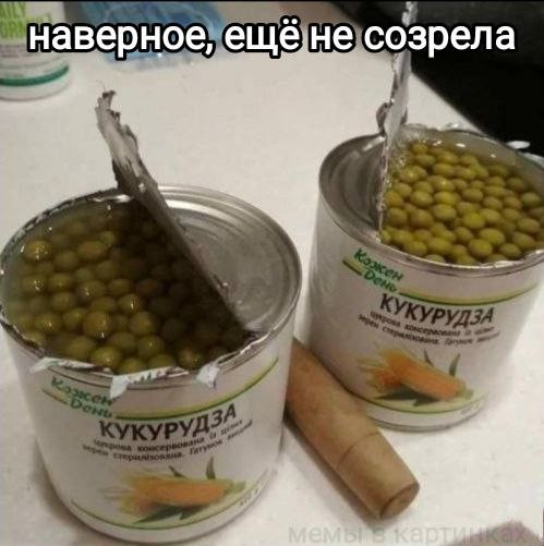 В России призвали бесплатно выдавать бензин для автомобилей одной категории граждан