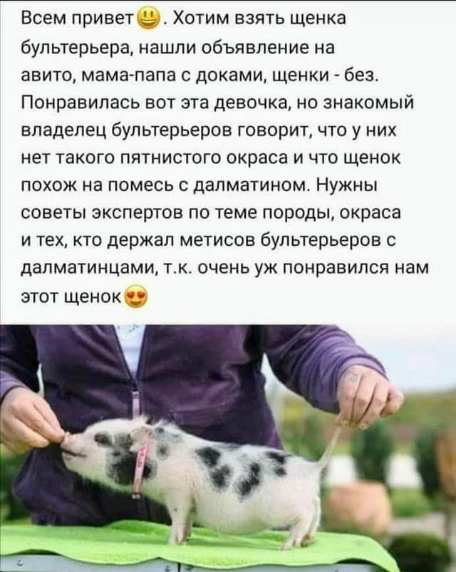Субботние мысли