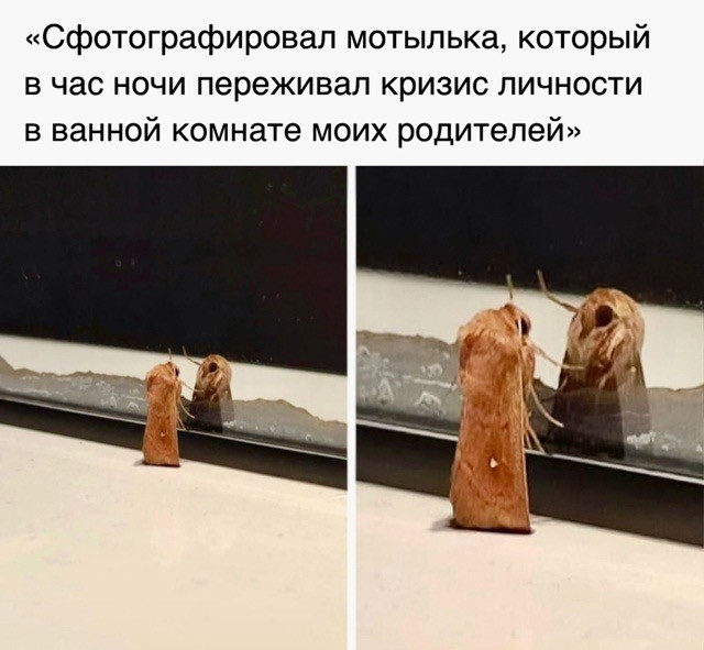 Вторник. Немного картинок