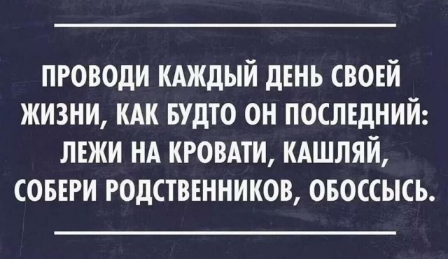 Так себе картинки 24.12.25