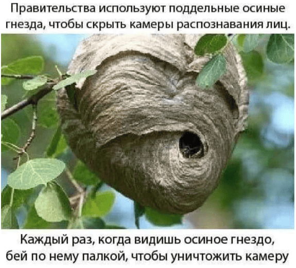 Картиночки, баянчики 22 марта