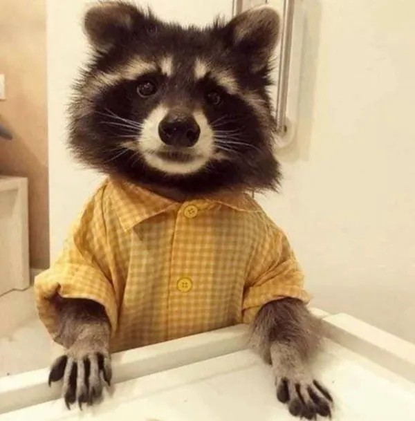 Забавные и интересные фото из Сети 23.04.26