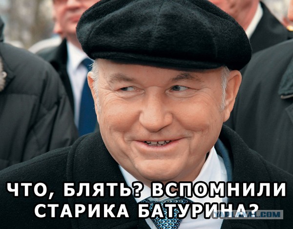 Выборы, выборы, кандидаты п..ры