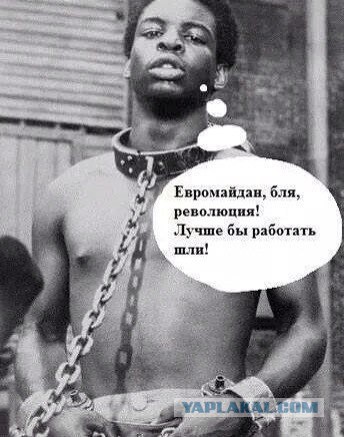 Репортеру Вестей в прямом эфире вручили "Оскар" за