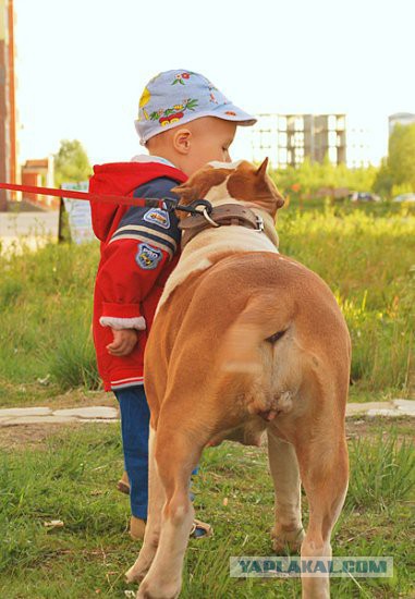 Собакочетверг на 02.01.2014