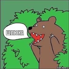 Вот такие "бандеры" живут во Львове