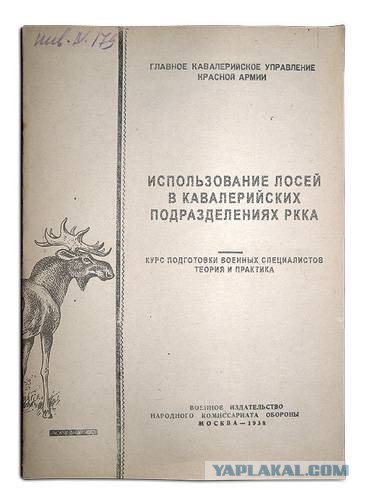 Новые книги