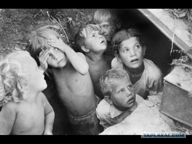 Запах  Войны