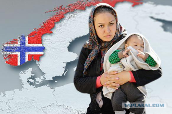 Россия не примет обратно мигрантов из Норвегии