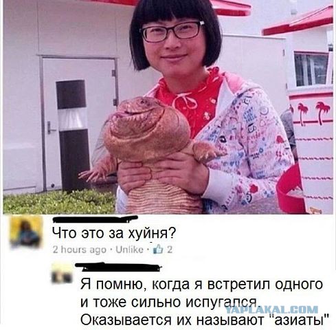Смешные комментарии из социальных сетей 13.05.2016