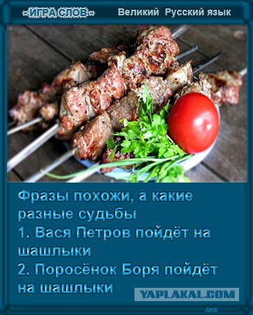 Чем питаются взрослые щуки...