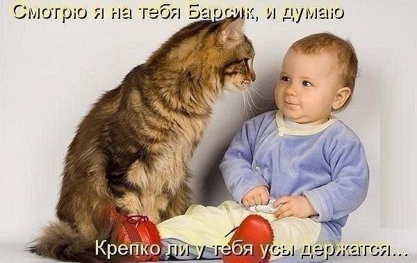 Прикольные животные