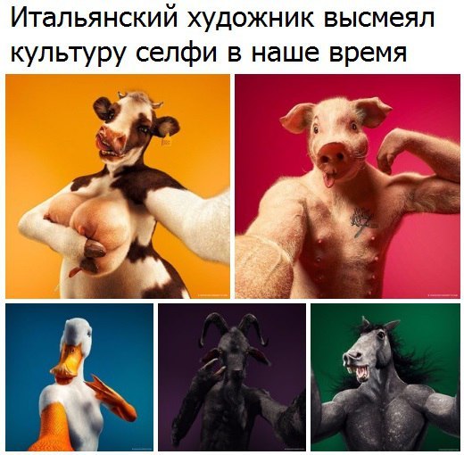 Ужасы и приколы из соцсетей 18+