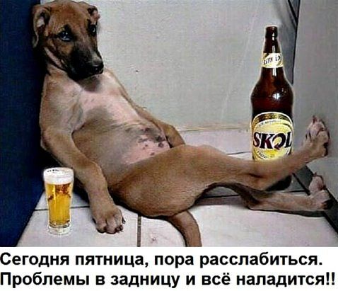Картинок всяких
