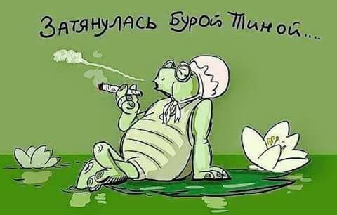 Подборка интересных и веселых картинок