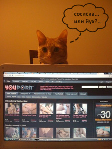 Не стесняйся - это просто кот