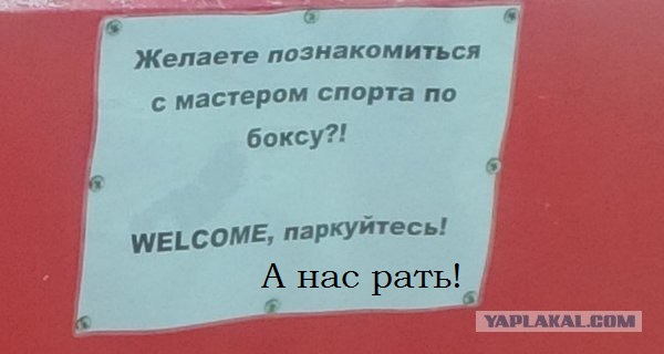 Боксер занял парковку в Самаре