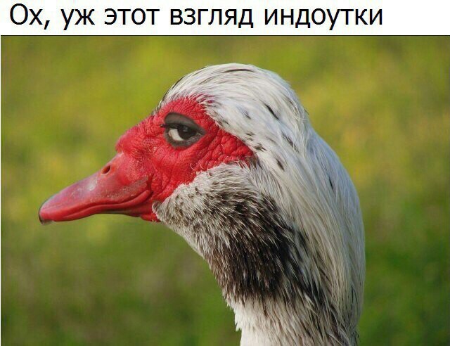 Субботняя адовая вакханалия подъехала