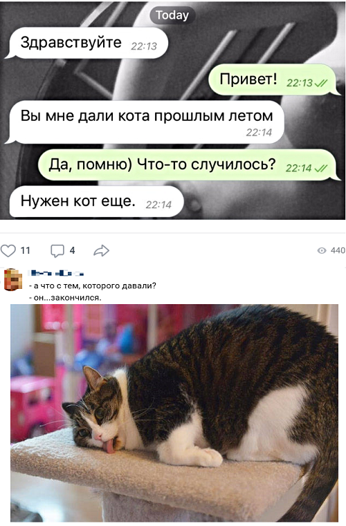 Картинки с надписями, истории и анекдоты