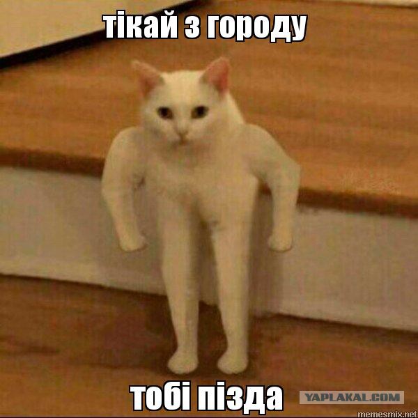 Последние новости ВЭФ