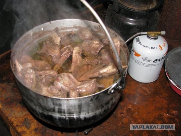 Экспедиция в Северную Тайгу