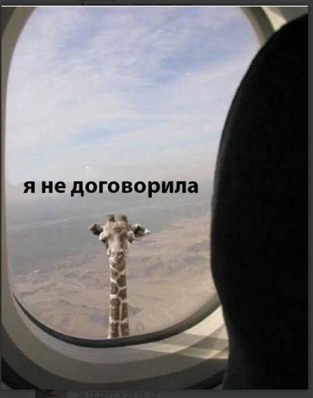Бредзона из картинок 27.11.19