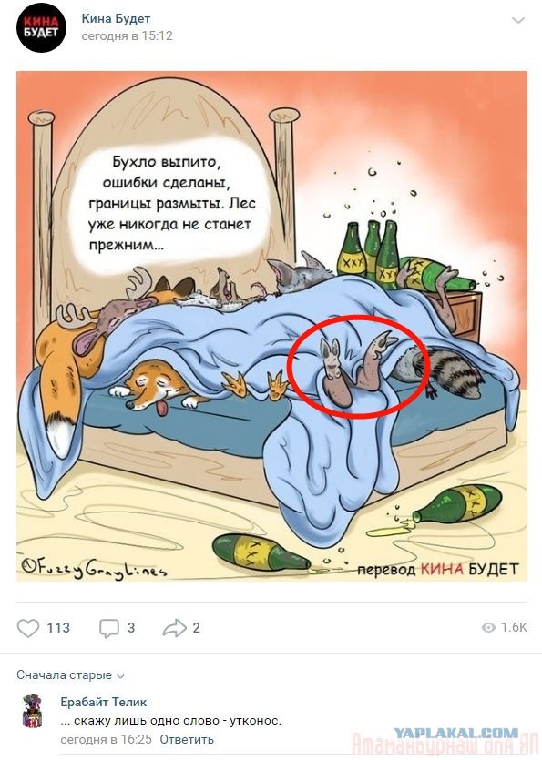 Комментарии к постам в разных группах, которые вызвали улыбку