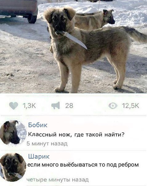 Немного картинок для настроения 04.02.20