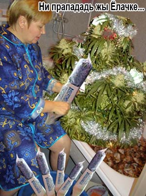 Фотожаба: Грибы на ноутбуке