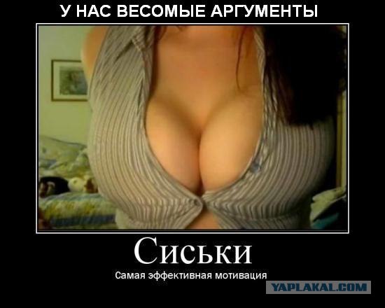 Фотожаба: Наши правила