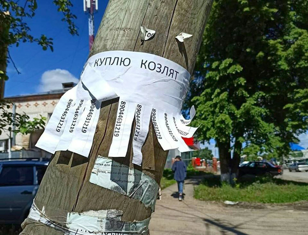 Как выглядело бы падение крупного астероида на Землю!