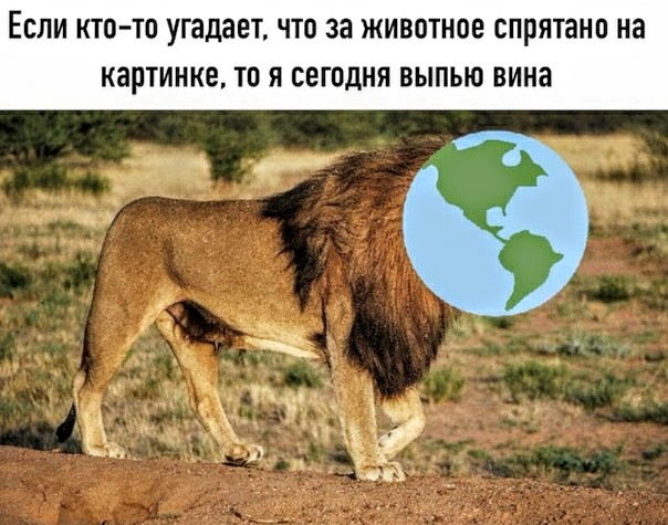 Немного картинок для настроения 19.09.20