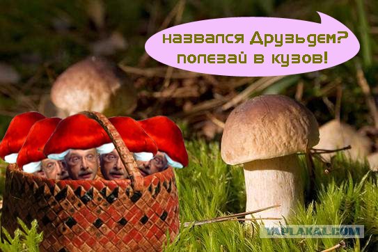 Пословицы